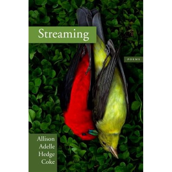 Pre-Owned Streaming (Paperback)