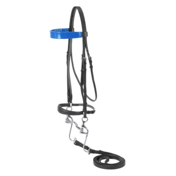 Tough 1 Bridle Walking Horse Browband Full Brown Blue 20-05649