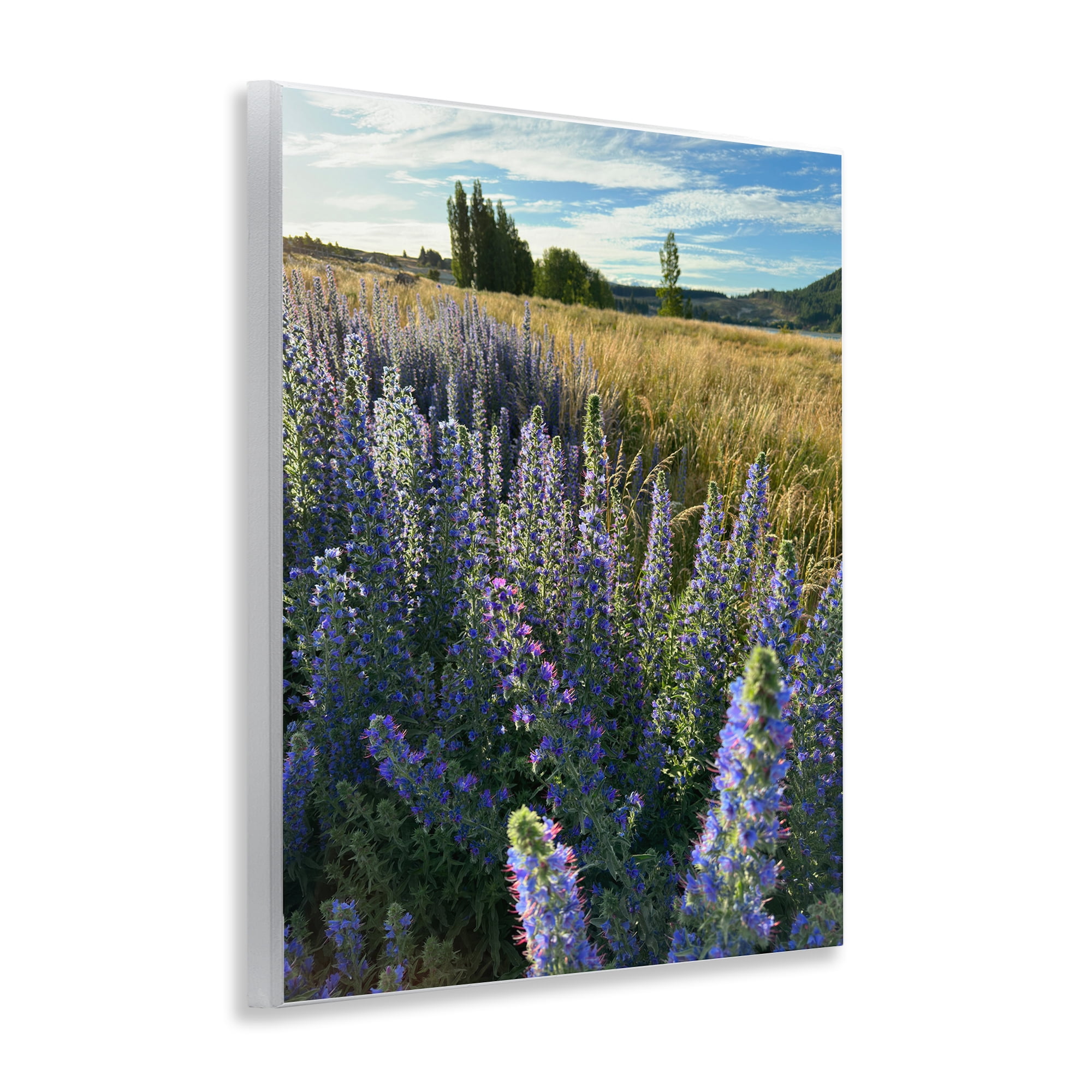 Stupell Industries Lavender Fields Landscape Landscape Photography Unframed Art Print Wall Art, 11 x 14