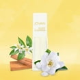 thumbnail image 5 of Jovan Island Gardenia For Women Cologne Spray 1.5 Ounce, 5 of 7