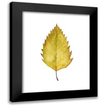 Popp, Grace 12x14 Black Modern Framed Museum Art Print Titled - Fall Leaf Study I