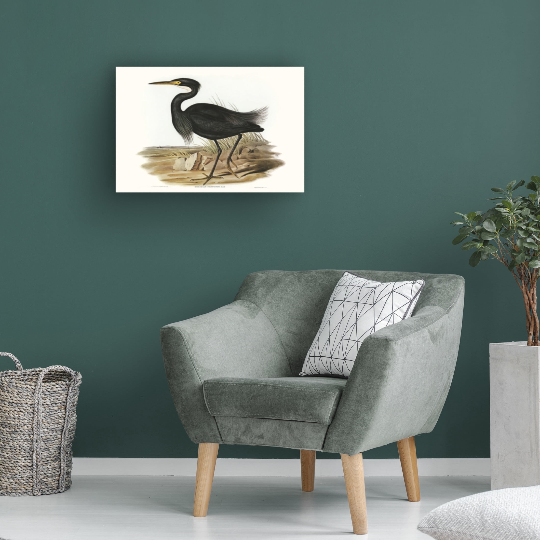 Trademark Fine Art Elizabeth Gould Majestic Waterbird IV Canvas Wall Art