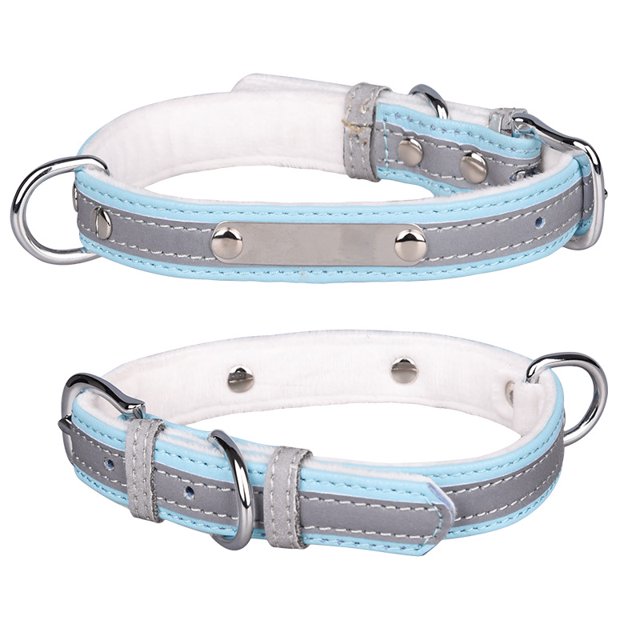Collier pour Chien Laisse pour Chien Plaque en Acier Inoxydable Réfléchissante Lettrage Collier Lumineux pour Animal Bleu/x