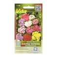 thumbnail image 1 of Pack De 2 Semillas Juanitas Variadas 0.4 Gr Multicolor, 1 of 3