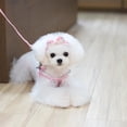 thumbnail image 2 of Correa de Seguridad de Perrito Suministros Accesorios de Mascotas Cinta, 2 of 7