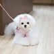 thumbnail image 2 of Perro Correa De Collar Ajustable Arnés Correa Diadema 3 Tipo, 2 of 8