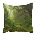 thumbnail image 1 of RYLABLUE Subtropical forest in Nepal Pillowcase Throw Pillow Cover Case 20x20 inches, 1 of 2