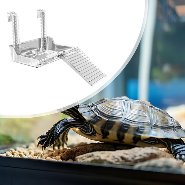 Terraza de para tortugas Rampa para tanque de tortugas Estante para escalar para acuario Tortugas colgantes Muelle para tanque de tortugas 185 x 139 x 50 mm