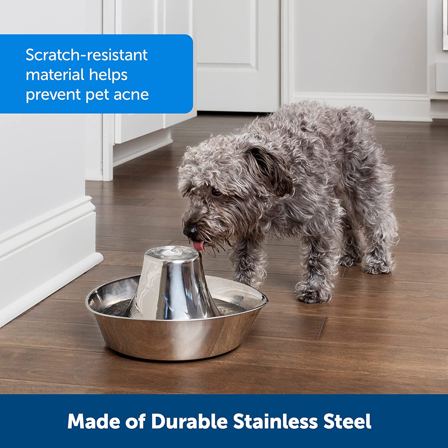 Stainless Steel Pet Fountain with Soothing Water Flow, 60 Oz Capacity, Includes 2 Filters & Pump, Quiet Motor, Scratch and Rust Resistant