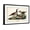 Black Frame, variant on Art.com Audubon Ducks II Art Print by John James Audubon, 18" x 12"