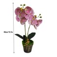 thumbnail image 2 of Orquídea artificial en maceta, simulación de flores, decoración floral, tela, orquídea falsa con maceta, rosa seitruly HA7708-04B, 2 of 6