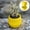Yellow, variant on TIMIFIS Planter Mini Stone Ball Flower Pots Succulents Small Flower Pots Rainbow Pots Office DecorFall