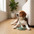 thumbnail image 3 of Vibrant Life 6' Fashion Leash, Blue Grid, L, 3 of 9