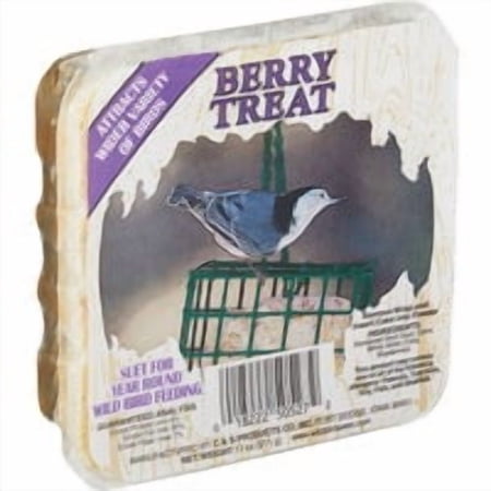 C & S Products C&S Treat Wild Bird Suet - Pack of 12