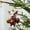 E, variant on Christmas Hanging Ornaments, 2D Acrylic Pig Ornament for Christmas Tree, Santa Hat Pig Christmas Tree Ornament Car Ornament, Christmas Tree Pendants for Xmas Tree Party Home Decorations