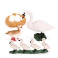 thumbnail image 3 of Tholdsy 1 Juego de modelos de ciclo de vida de cisnes, modelo de crecimiento, Kit de utilería de cisnes para la escuela en casa Juguetes Educativos, 3 of 6