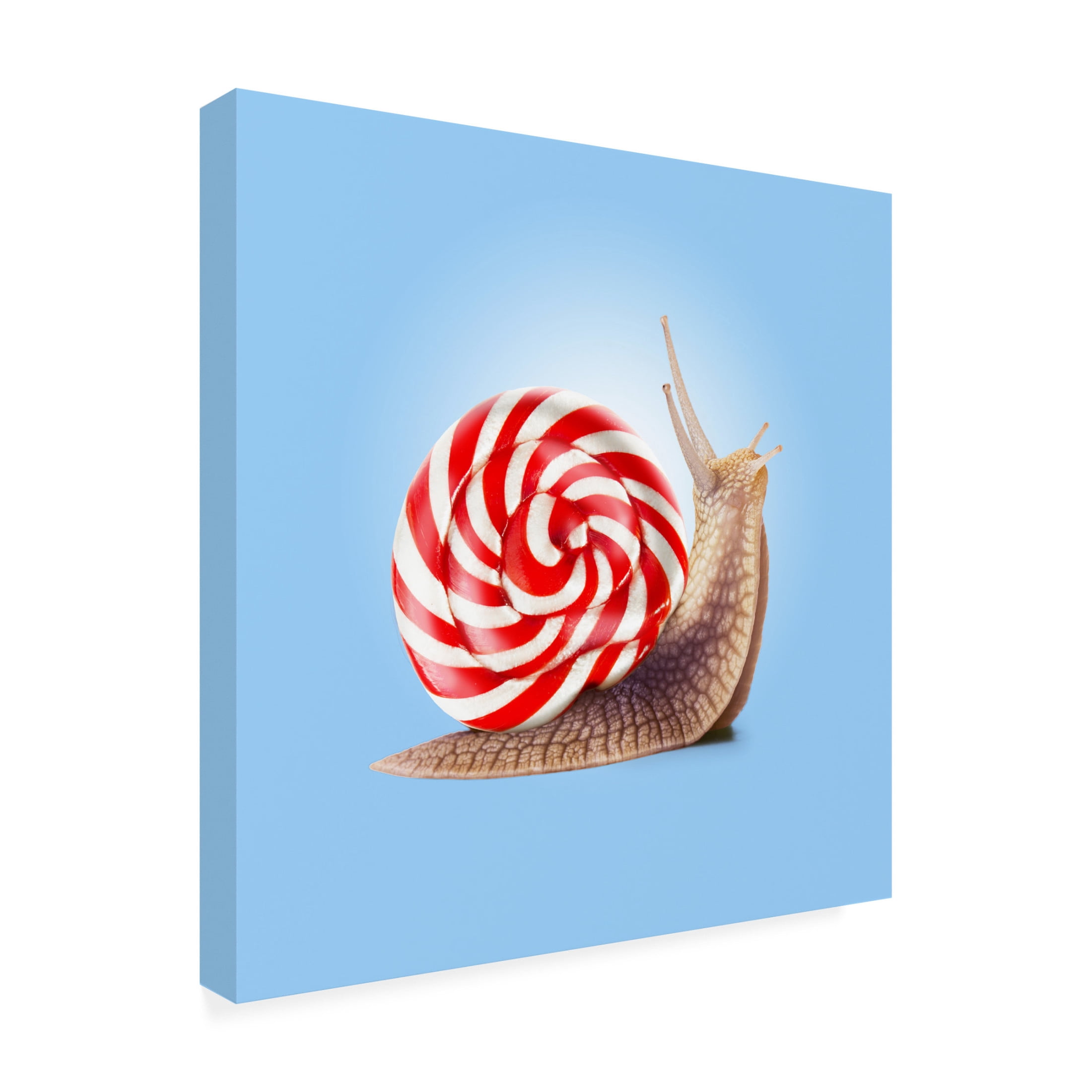 Trademark Fine Art Artem Pozdniakov  Snail Candy Canvas Wall Art