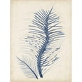 thumbnail image 3 of Vision Studio 15x18 Black Modern Framed Museum Art Print Titled - Indigo Coral V, 3 of 5