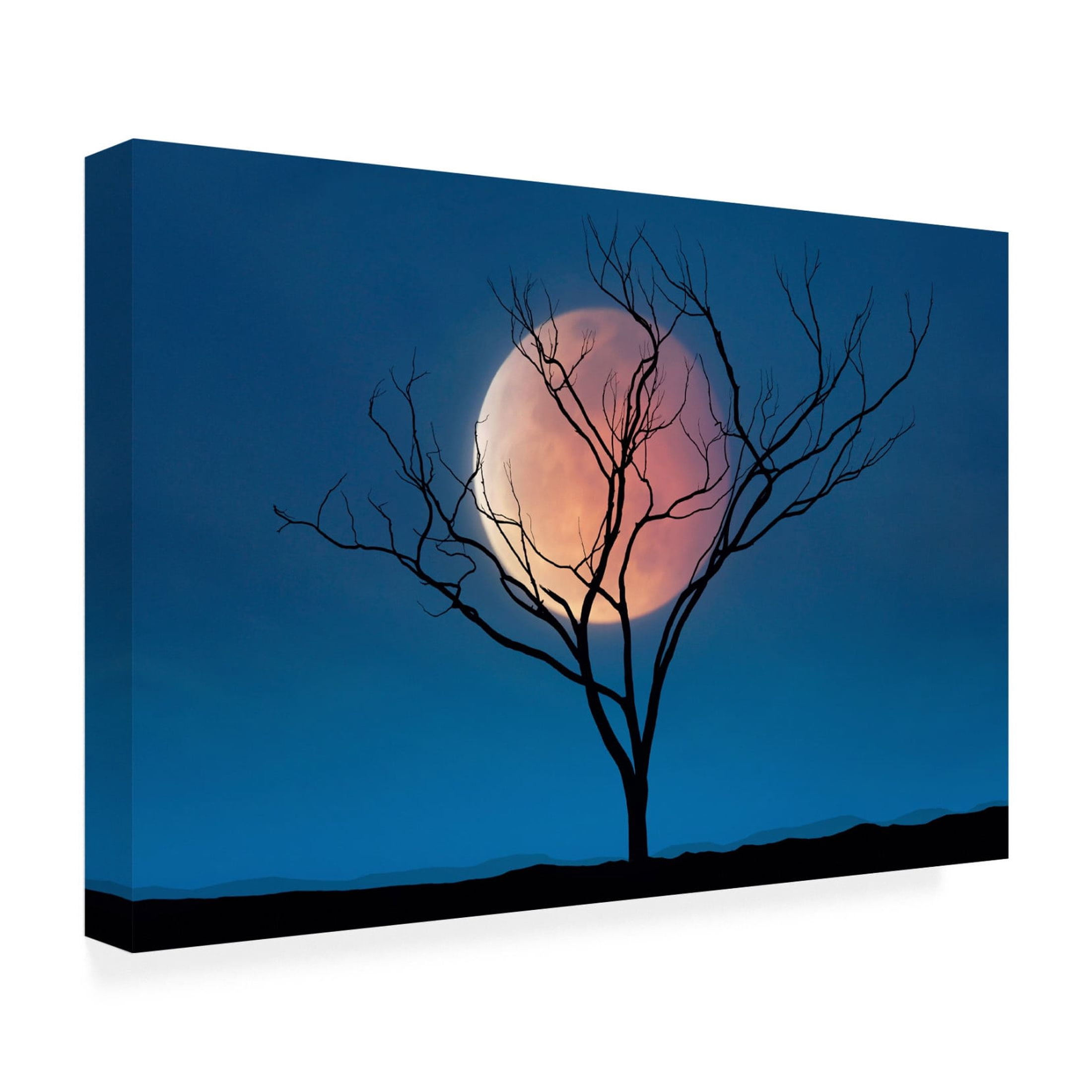 Canvas Wall Art - Lee Sie 'Celestial Affair II' Wall Art for Living Room, Bedroom, or Office Décor by Trademark Fine Art - 19 x 12 Inches