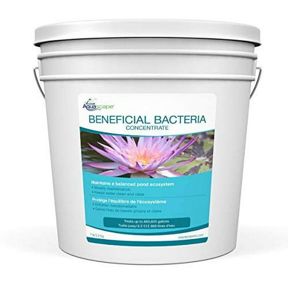 Aquascape 98950 Dry Beneficial Bacteria for Pond and Water Features, 7-Pound