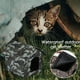 thumbnail image 3 of Camuflaje verde (B) M$ cama impermeable cama para gatos cama para mascotas cama para perros cama para mascotas gato callejero cama para perros extraíble mascota, 3 of 8