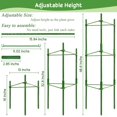 thumbnail image 2 of Tomato Cage Legigo, paquete de 8 soportes para plantas de jardín, 120 cm, 2 of 7