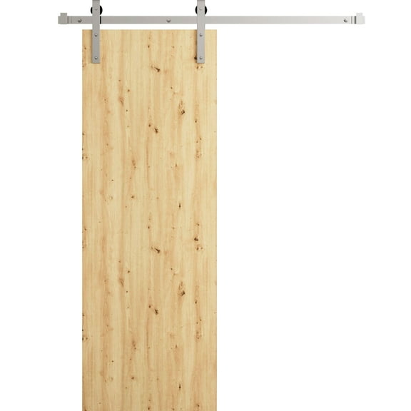 Modern Barn Door 36 x 80 in - LUNO 1003 Caramel Oak - 6.6FT Silver Rail Track Heavy Hardware Set - Solid Panel Interior Doors