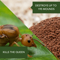 thumbnail image 7 of BioAdvanced Fire Ant Killer Dust Insecticide, Kills The Queen & Destroys The Mound, 1.5-Pounds, 7 of 7
