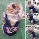 thumbnail image 2 of Jersey con capucha para perro o gato Mi Baúl Azul Marino Talla 1, 2 of 4