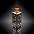 thumbnail image 1 of Perfume State Of Mind Modern Nomad Eau De Parfum, 100 ml, 1 of 1