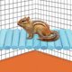thumbnail image 2 of Soporte de madera para mascotas, cama oscilante, juguete para ardilla, planeador de azúcar, hámster, loro, azul, 2 of 8