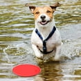 thumbnail image 3 of Paquete de 2 discos voladores para perros, juguete volador de silicona para cachorros, perro suave flotante, indestructible, reaccionar más rápido, juguetes interactivos de entrenamiento para per, 3 of 5