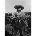 thumbnail image 2 of Art.com Mexican-American Carrot Puller in Edinburg, Texas. February 1939 Photograph by Russell Lee Stretched Canvas Print Wall Art, 12" x 16", 2 of 4