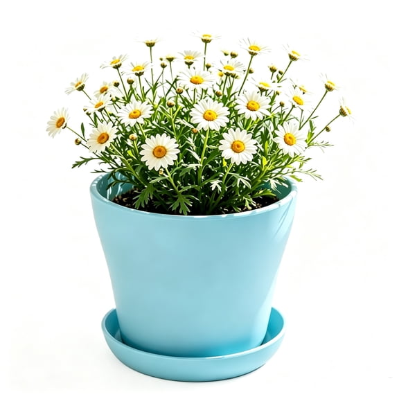 TUITOONM Mini Plastic Flower Pots with Saucers 4-Inch Colorful Meaty Planters for Home & Office Small Modern Decor with Drainage Holes