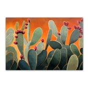 Prickly Pear Cactus Postcards - 4 x 6 Western Desert Postcards - 40 Desert Cactus Postcards - 17026