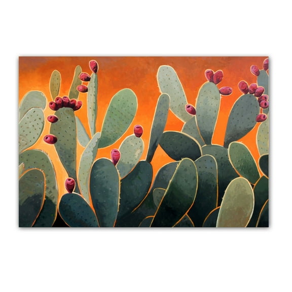 Prickly Pear Cactus Postcards - 4 x 6 Western Desert Postcards - 40 Desert Cactu
