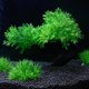 thumbnail image 4 of Acuario, decoración de pecera, juego de 2 árboles de plantas artificiales para acuario, decoración de pecera, 4 of 5