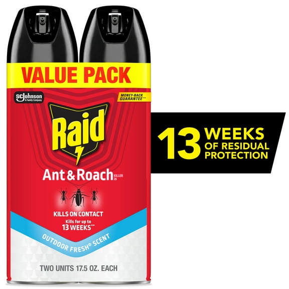 Raid Ant & Roach Killer, Indoor Insecticide, Residual Killing Power, Outdoor Fresh Scent, 17.5 oz, Pack of 2