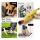 thumbnail image 3 of Peluche para perros Sedioso para razas grandes con algodón y chirridos, 3 of 6