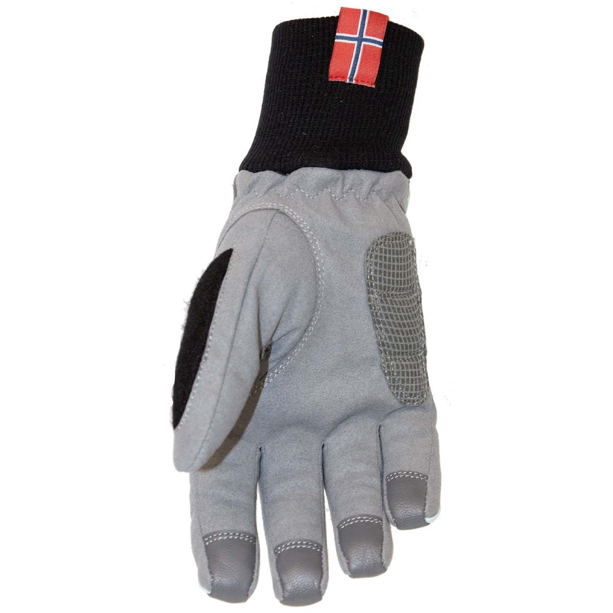 SWIX Adult Male Shield Pro Gloves, Color: Magnet, Size: M