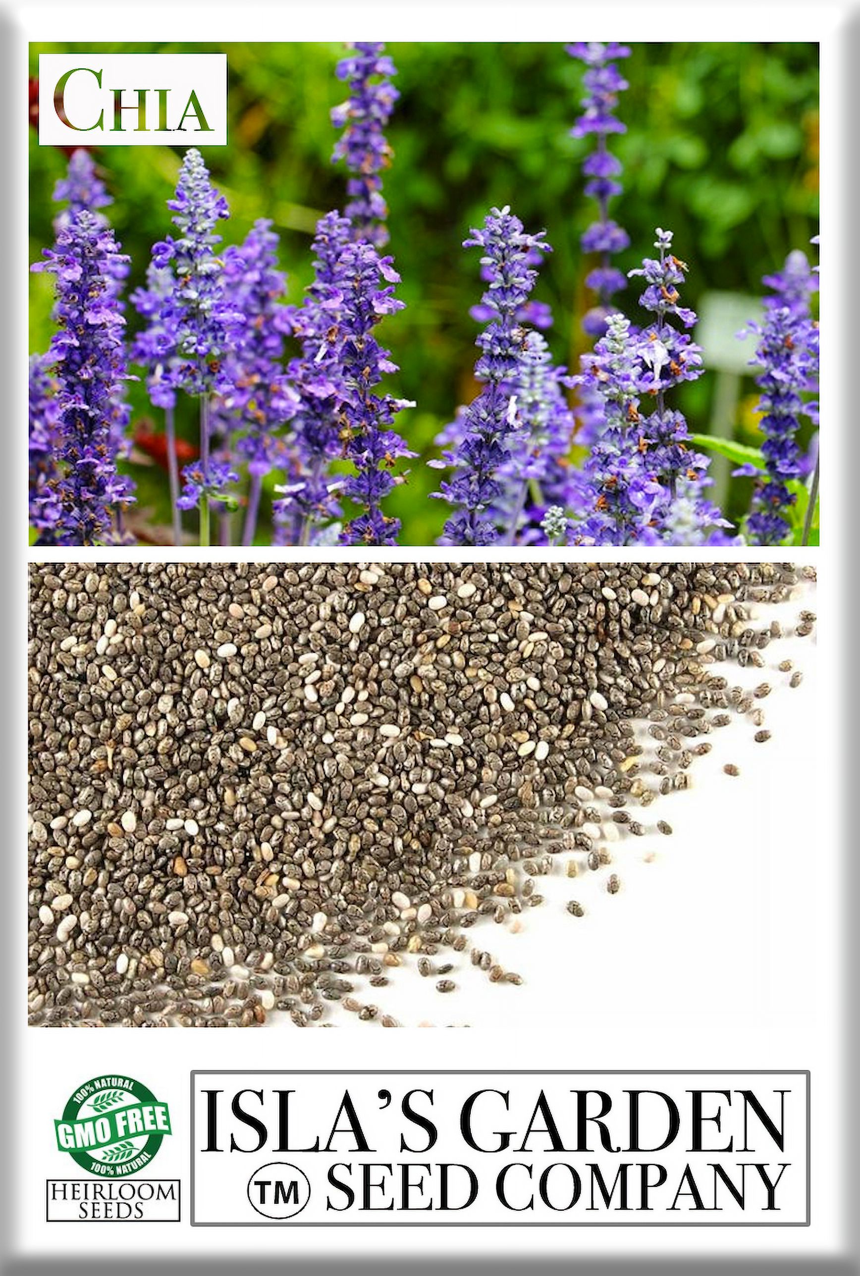 Chia Seeds for Planting, 1000+ Seeds Per Packet,Herb/Flower