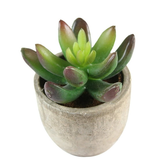 3 Pcs Faux Succulents Plant Decor Cute Artificial Plants Green