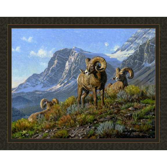 Rams Panel Cotton Fabric