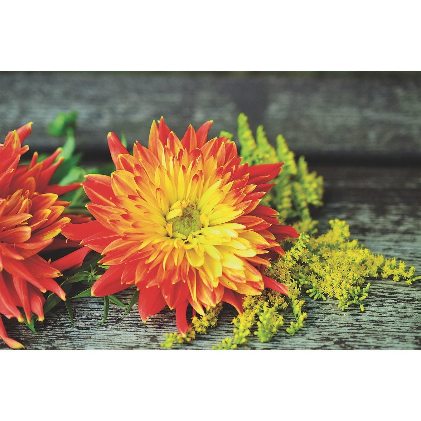 Thera-Jigsaw™ Foam Puzzles Set: Beach Sunset, Cat, Moose, and Yellow Flowers (Set of 4)