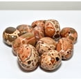 thumbnail image 2 of 10PCS Leopardite Cabochon Pebbles Natural Polished "Leopardskin" Quartz Rhyolite Stone Mineral Crystal Cab - Peru, 2 of 4