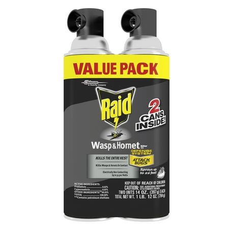 Raid Wasp & Hornet Killer Spray, 14 oz, 2 pk