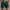 1-Green, variant on FloHua Mens Cargo Shorts Khaki Mens Shorts Plain with Pockets Elastic Waist Button Men Casual Zipper Straight Half Shorts