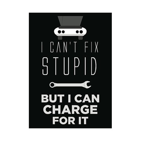 I Can?t Fix Stupid But I Can Charge For It Sign - Garage Mechanic Man Cave Funny (Best Man Cave Colors)