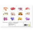thumbnail image 2 of Orchids floral dreams (Monthly Wall Calendar 2026 11.7 x 16.5 (open)), CALVENDO 14 Month Calendar, 2 of 9