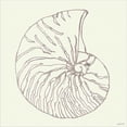 thumbnail image 2 of Great Art Now Coastal Breeze Shell Sketches VII Silver by Anne Tavoletti, Framed Wall Art, 17.5W x 17.5H, 2 of 3